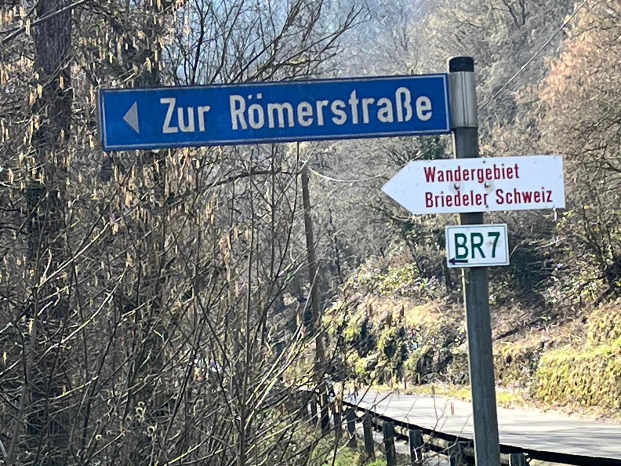 Ferienwohnung Meijer Briedel Exteriör bild
